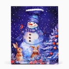 Пакет подарочный новогодний «Дивный снеговик», 11.5×14.5×6.5 см - Фото 2