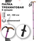 Палка-трость для скандинавской ходьбы ONLITOP, телескопическая, 4 секции, алюминий, до 135 см, (1 шт), цвет сиреневый - Фото 1