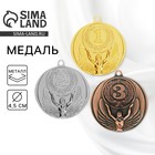 Медаль призовая золото 017, d=4.5 см, 1 место, без ленты - Фото 1