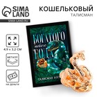 Кошельковый талисман новогодний в коробке «Новый год: Богатого года», фигурка, 5,4 х 3,6 см 10344131 - фото 314571681