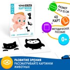 Черно-белые картинки для новорожденных «Животные», 20 карт, 0+ - Фото 1