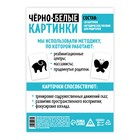 Черно-белые картинки для новорожденных «Животные», 20 карт, 0+ - Фото 3