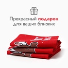 Набор новогодних полотенец «Доляна» Merry catmas 35×60 см-3 штуки,100% хлопок 160 г/м² - Фото 4