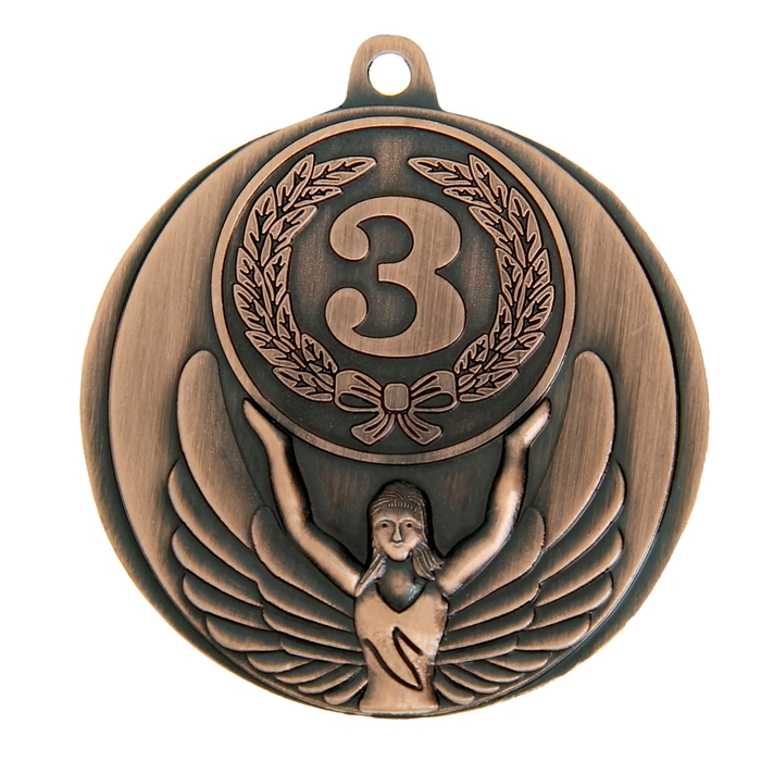Медаль призовая 017 диам 4,5 см. 3 место. Цвет бронз. Без ленты - фото 1906791195