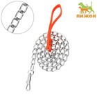 Металлический поводок, 120 см × 4 мм - Фото 1