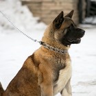 Металлический поводок, 120 см × 4 мм - Фото 7