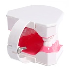 Игровой набор «Макет челюсти человека», 12×9 см, с щёткой, щётка цвета МИКС - Фото 6