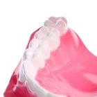 Игровой набор «Макет челюсти человека», 12×9 см, с щёткой, щётка цвета МИКС - Фото 8