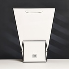 Пакет-переноска для цветов 18×14×35×28 см, белый с каймой - Фото 3