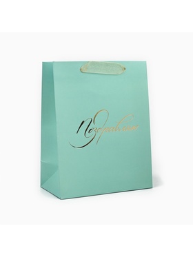 Пакет ламинированный «Поздравляю», MS 18?23?10 см (комплект 2 шт)