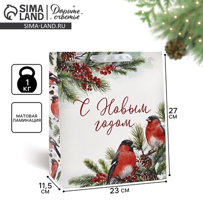 Пакет подарочный новогодний ламинированный «С Новым годом», ML 23×27×11.5 см