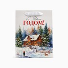 Пакет подарочный новогодний ламинированный «Зимний лес», деревня, MS 18 х 23 х 10 см , Новый год - Фото 4