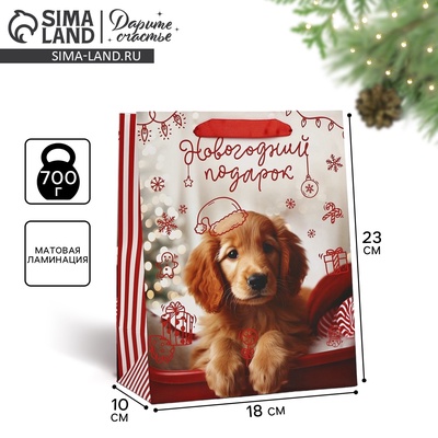 Пакет подарочный новогодний ламинированный «Новогодний подарок», MS 18×23×10 см
