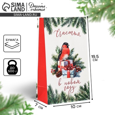 Пакет подарочный без ручек «Счастья в Новом году», 10×19.5×7 см