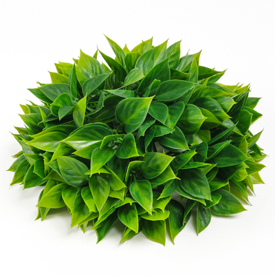 Искусственное растение шар самшитовый (самшит), размер 21×21 см