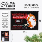 Новый год. Календарь 2025 настенный, на спирали «Жизненный», 34 х 24 см - фото 321883646