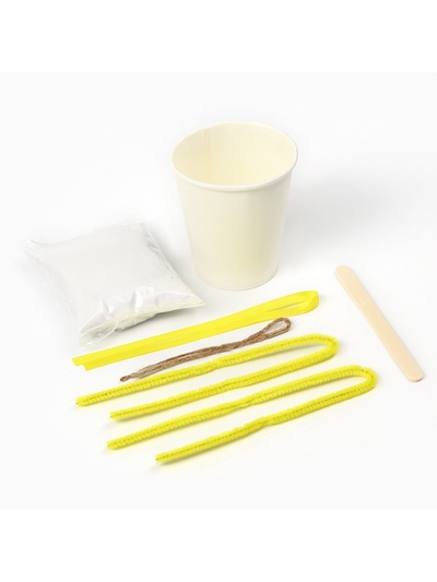 Выращивание кристалла «Фиксики. Симка», набор для опытов