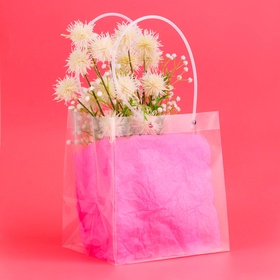 Пакет подарочный с квадратным дном, ПП прозрачный, 23×18×24 см