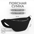 Сумка поясная на молнии, цвет чёрный 10523172 - фото 4000250