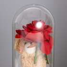 Ночник «Мишка с розой» LED 3хААА 10,5х10,5х22см - Фото 3