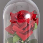 Ночник «Красная роза» LED 3хAG10 8,5х8,5х15,5см - Фото 3