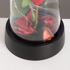 Ночник «Красная роза» LED 3хAG10 8,5х8,5х15,5см - Фото 4
