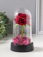 Фигурка светящаяся колба RISALUX «Красная роза», LED-ночник, 3×AG10, 8.5×8.5×15.5 см - Фото 8