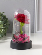 Фигурка светящаяся колба RISALUX «Красная роза», LED-ночник, 3×AG10, 8.5×8.5×15.5 см - Фото 9