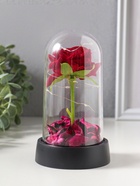 Фигурка светящаяся колба RISALUX «Красная роза», LED-ночник, 3×AG10, 8.5×8.5×15.5 см - Фото 10
