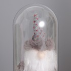 Ночник "Дед мороз" LED 3хААА красный 11х11х22,5см - Фото 3