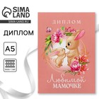 Диплом на День матери «Любимой мамочке», А5, 21 х 15 см - фото 321884337