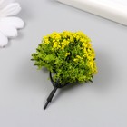 Искусственное растение для творчества пластик "Жёлтая акация" 6 см (комплект 4 шт) - фото 25339951