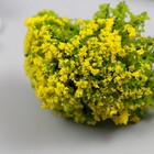 Искусственное растение для творчества пластик "Жёлтая акация" 6 см (комплект 4 шт) - фото 25339953