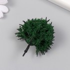 Искусственное растение для творчества пластик "Зелёное деревце" 6 см - Фото 2