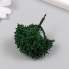 Искусственное растение для творчества пластик "Зелёное деревце" 6 см - Фото 3