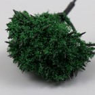 Искусственное растение для творчества пластик "Зелёное деревце" 6 см - Фото 4