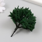Искусственное растение для творчества пластик "Зелёное деревце" 9 см - Фото 2