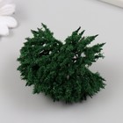 Искусственное растение для творчества пластик "Зелёное деревце" 9 см - Фото 3