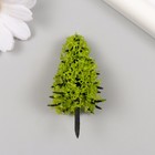 Искусственное растение для творчества пластик "Ель" светло-зелёная 6 см - Фото 1
