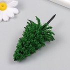 Искусственное растение для творчества пластик "Ель" тёмно-зелёная 10 см - Фото 3