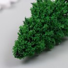 Искусственное растение для творчества пластик "Ель" тёмно-зелёная 10 см - Фото 4