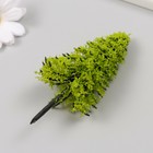 Искусственное растение для творчества пластик "Ель" светло-зелёная 10 см (комплект 2 шт) - фото 25339994