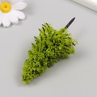Искусственное растение для творчества пластик "Ель" светло-зелёная 10 см (комплект 2 шт) - фото 25339995