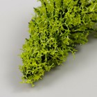 Искусственное растение для творчества пластик "Ель" светло-зелёная 10 см (комплект 2 шт) - фото 25339996