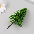 Искусственное растение для творчества пластик "Ёлка" 10 см (комплект 2 шт) - фото 25339998