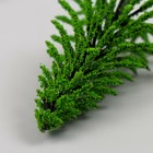 Искусственное растение для творчества пластик "Ёлка" 10 см (комплект 2 шт) - фото 25340000