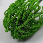 Искусственное растение для творчества пластик "Плакучая ива" 12 см - Фото 4