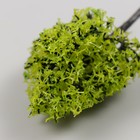 Искусственное растение для творчества пластик "Платан" 8 см - Фото 4