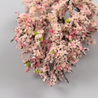 Искусственное растение для творчества пластик "Сакура" 12 см (комплект 2 шт) - фото 25340067