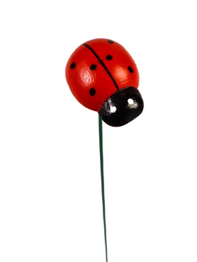 Штекер садовый «Божья коровка дарли», 2.5 см, h=25 см, набор 20 шт.  (артикул 10421823)  большой выбор товаров оптом и в розницу по низким ценам с доставкой